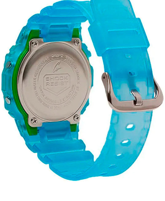DW-5600LS-2DR back