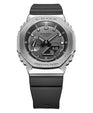 GM-2100-1ADR display view