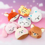 NCT-Sweet-Dreamiez-MEDIUM-face-CUSHION-all