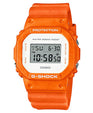 DW-5600WS-4DR front