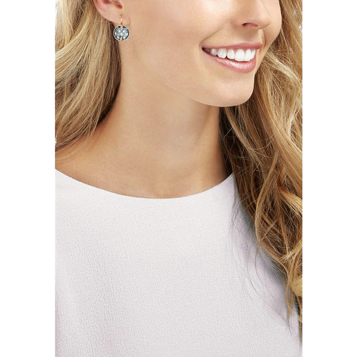 Swarovski Globe Earrings 5276285 - Rose Gold & Dark Crystal - View 2