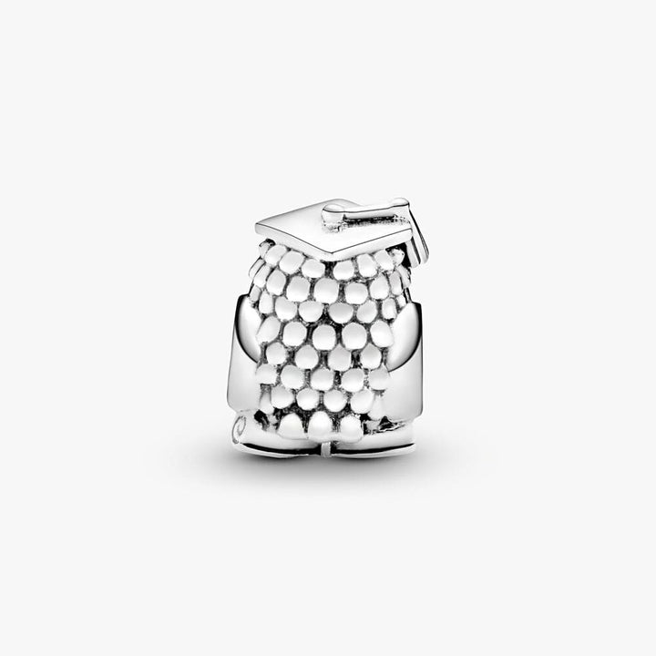 Pandora Owl Graduate Charm 791502NSB - Celebrate Your Success - View 2