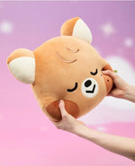 nct-dream-sweet-dreamiez-medium-face-cushion-7-types-jjopoohand